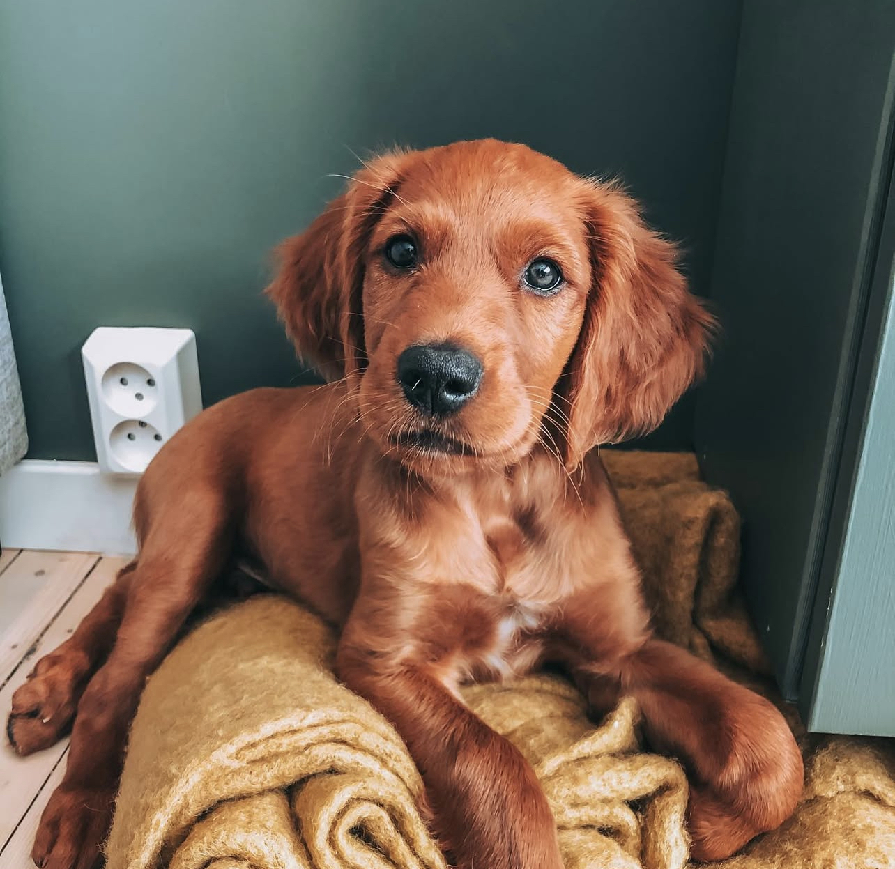 Hugo Male Hugo (Macho) - Imagen 1