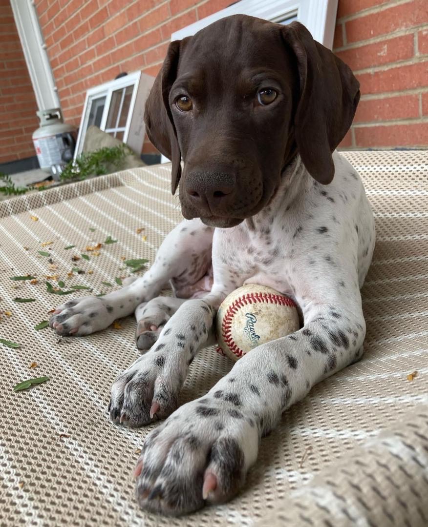 Stela Female Stela (Hembra) - Imagen 1