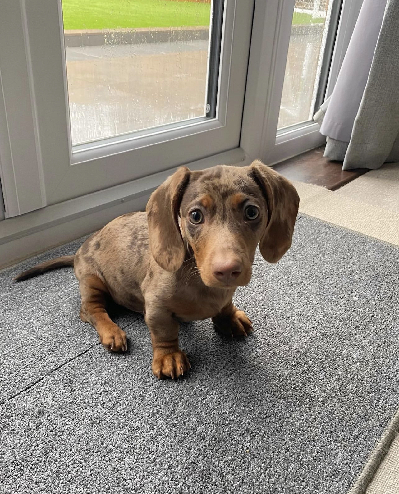 Zara Male Zara (Macho) - Imagen 1